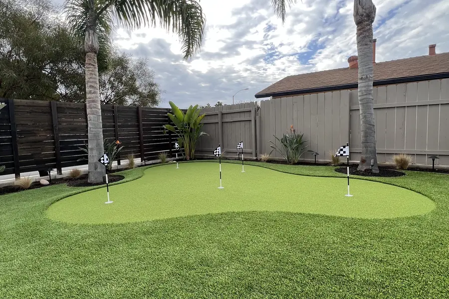 Backyard putting green beneath tall palm trees