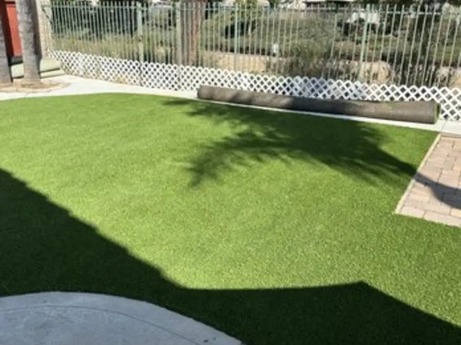 Clean new backyard turf