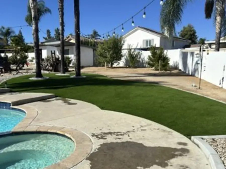 Backyard turf under palm trees and string lights